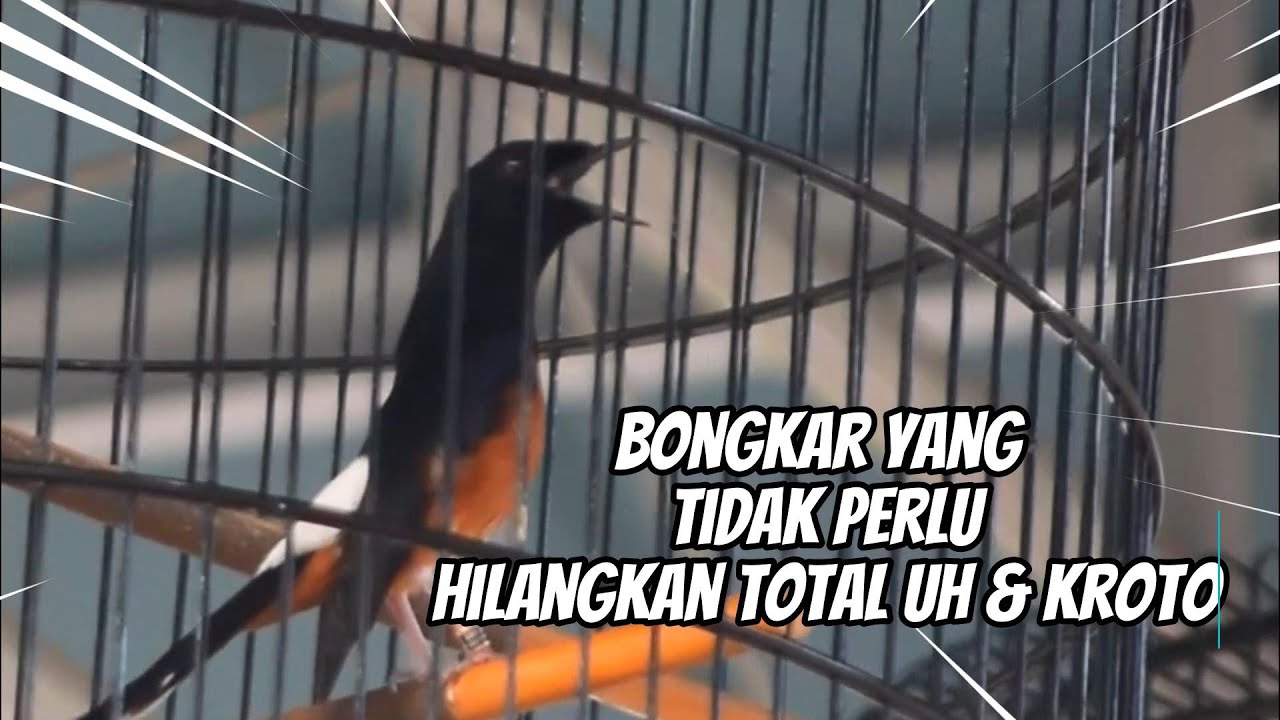 SETINGAN STABIL SEPANJANG MASA !! SIMAK ULASANYA DARI KASUS SIANIDA