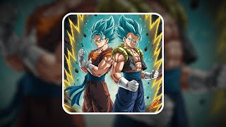 Pista Toma X Vegitogogeta