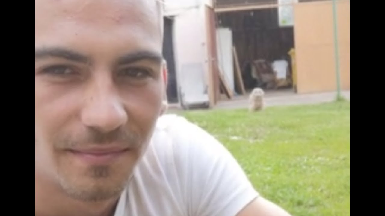 videos for cats Owl instantly runs over to owner when called