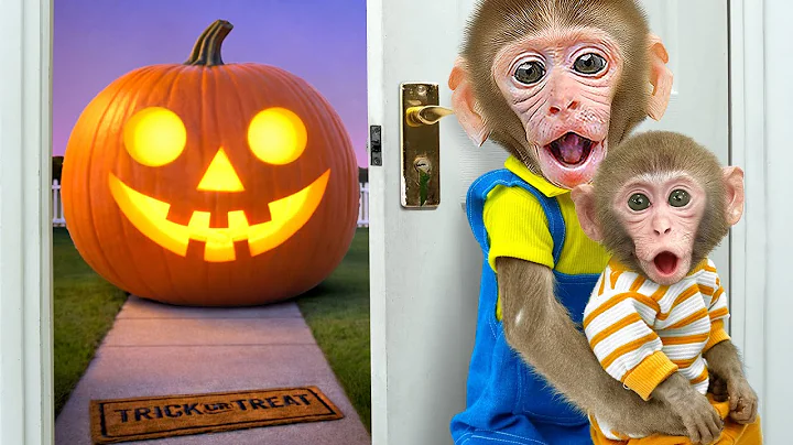KiKi Monkey and baby face with challenge Knock Knock, Who's At The Door | KUDO ANIMAL KIKI