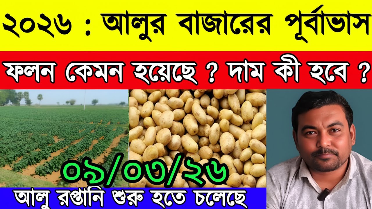 আজকের আলুর বাজার মূল্য/india potato news West bangal/Potato price today west bengal