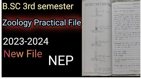 B.SC 3rd semester / How to make Zoology Practical File  2023-2024 /  All University