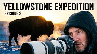 Camping in the "Serengeti of America" | Yellowstone Expedition Ep. 3