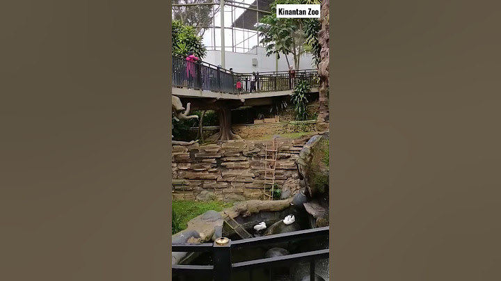Aviary terbesar di Sumatera #shorts #walking #shortvideo