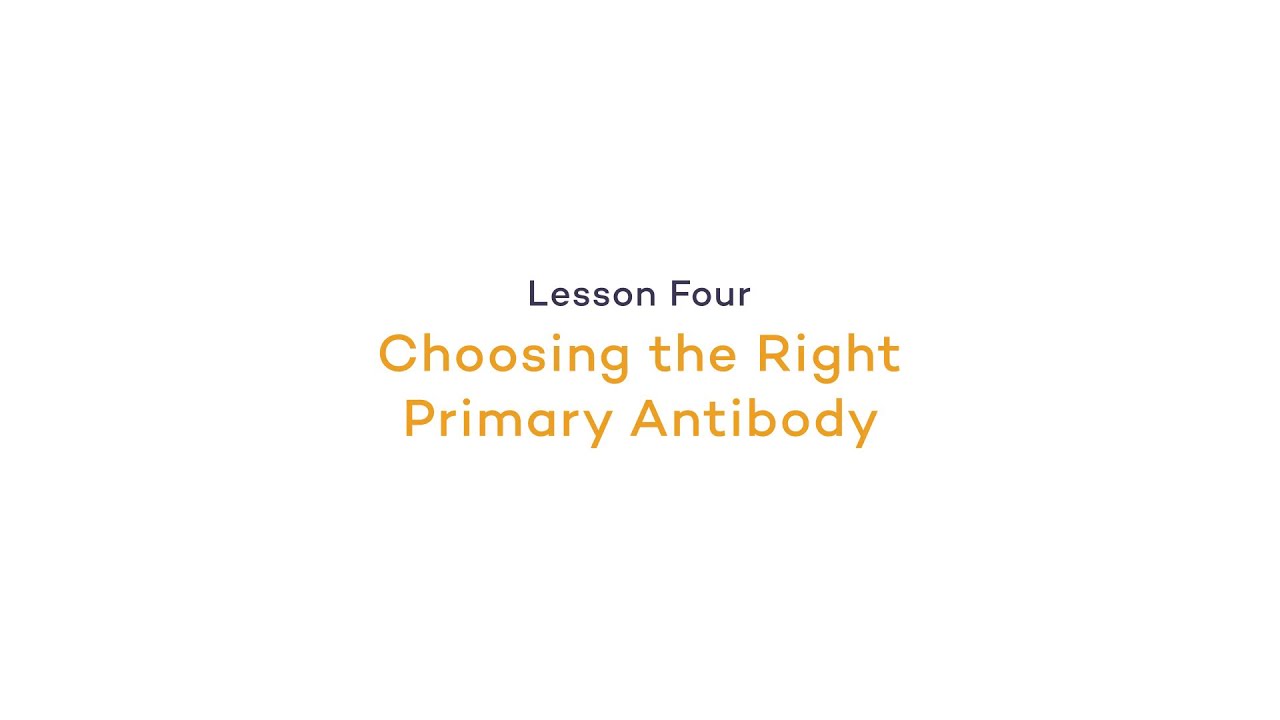 Choosing the Right Primary Antibody | Fluorescence: Primary Antibody Incubation
