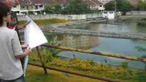 numerical methods project 2009