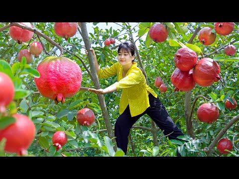 How To Make Fruit Food - Best off Mango Food for Delicious dinner | 2 Year cooking in Forest