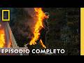 Brasil | David Blaine: Retos Extremos | Nat Geo en Español