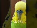 鼻の色が気になって仕方ない　【精巣異常でまた病院か！】
