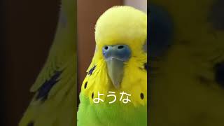 鼻の色が気になって仕方ない　【精巣異常でまた病院か！】