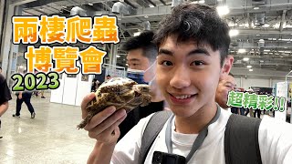 一部影片讓你愛上爬蟲台灣兩棲爬蟲博覽會超多驚喜!{成哥Luka}