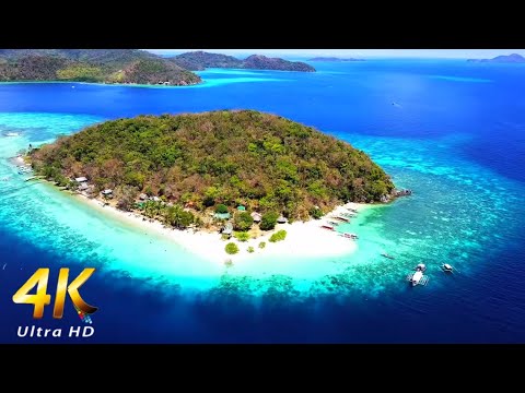 Vídeo: Ilhas Ushkany: descrição, história, flora e fauna