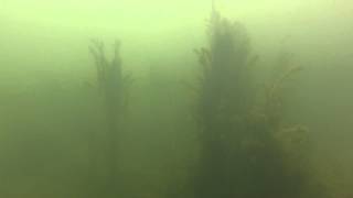 Underwater@Lake Austin