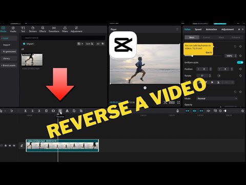How To Reverse a Video on CapCut PC (2024) | Step-By-Step Tutorial