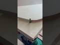 A Simple Router Idea #shorts #woodworking #diy