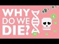 WHY DO WE DIE?