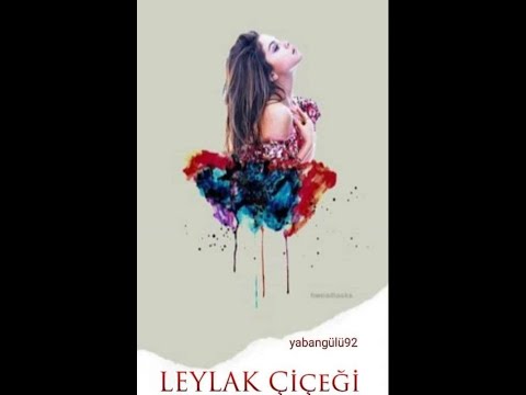 Leylak Çiçeği Bölüm 1