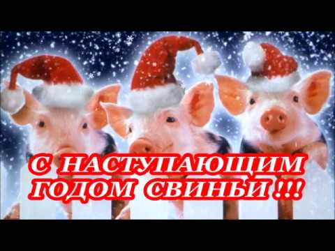 С Наступающим годом Свиньи!