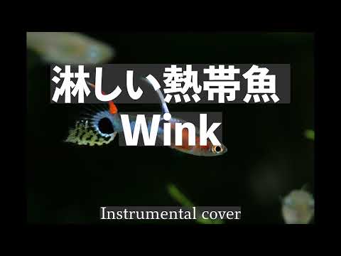 Wink   ///   淋しい熱帯魚 ( Instrumental )