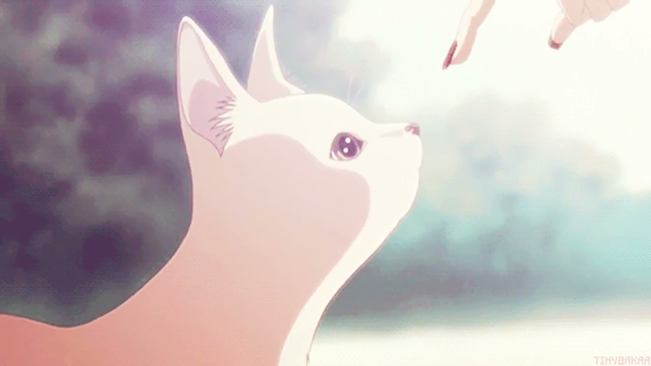 Diviners feat Savannah( Slowed + Reverb)