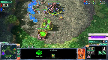 SC2 ROOTKiWiKaKi[P] vs [Z]vilePsY