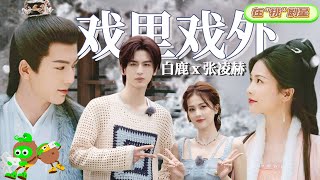 【Bai Lu x Zhang Linghe】Difference Within and Outside of Drama🤩| Story of Kunning Palace |宁安如梦| iQIYI