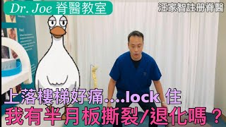 上落樓梯膝好痛…lock 住! 我有半月板撕裂或退化嗎? 三個自我測試的方法)