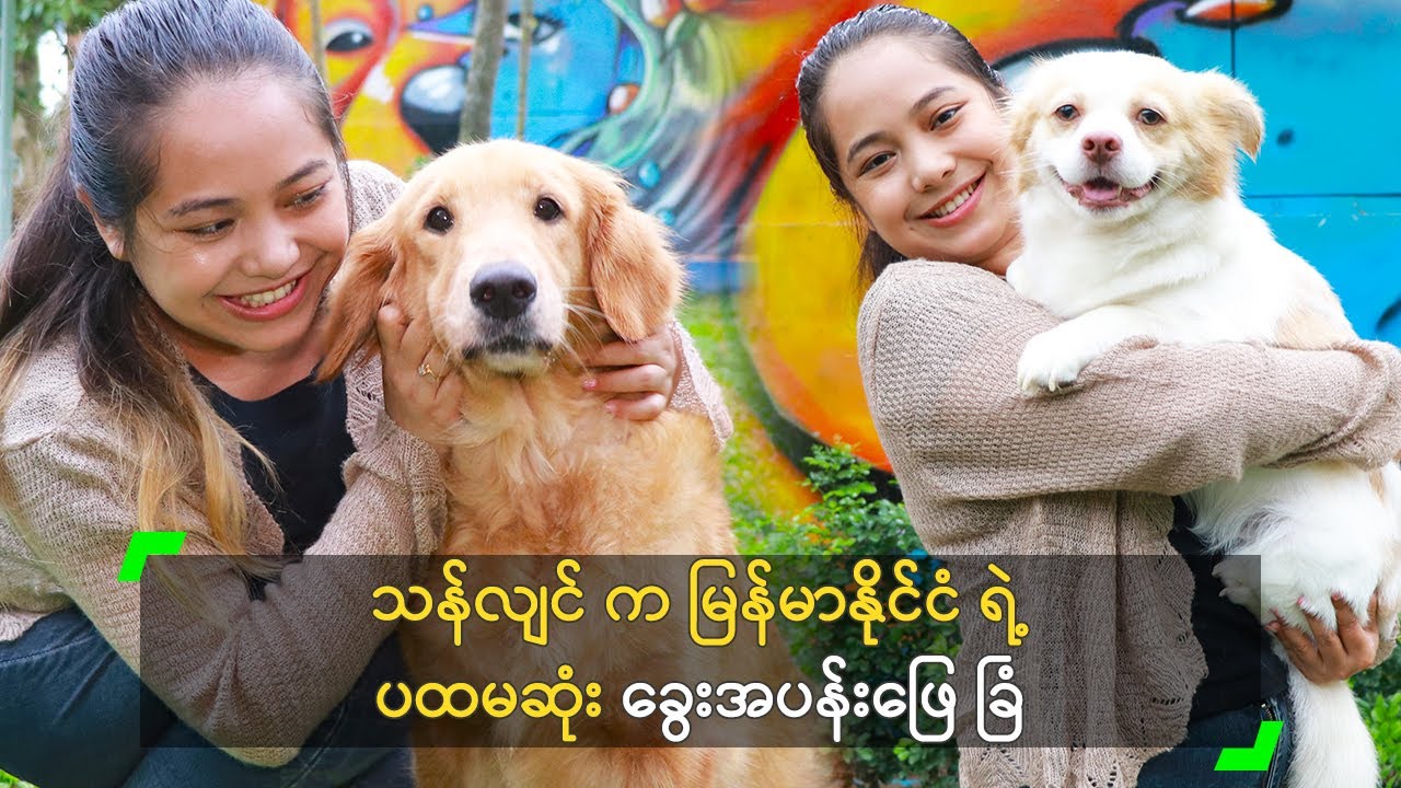 သန်လျင် က မြန်မာနိုင်ငံ ရဲ့ ပထမဆုံး ခွေးအပန်းဖြေ ခြံ