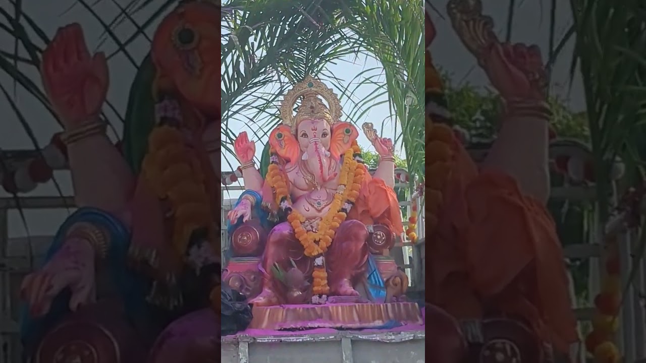 at Arawali Veterinary college sikar.   