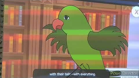 Dr Dolittle Learns a New Language, Ch-9