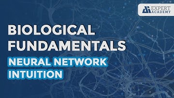 Biological fundamentals - Neural Network Intuition