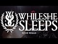 While She Sleeps - Four Walls - Drumcover #5minutesalonedrums