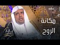 الفرق بين نفس الإنسان ونفس الحيوان 