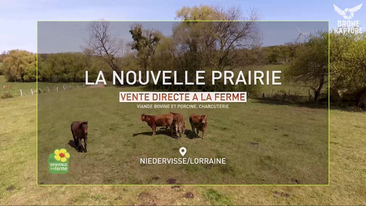 Ferme de la Nouvelle Prairie YouTube