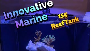 Innovative Marine Nuvo Fusion 15 Gallon| Simple Reef| Budget Friendly| @innovativemarine