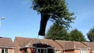 Tree removals by crane over residential building, Castle Tree Care, Lincolnshire