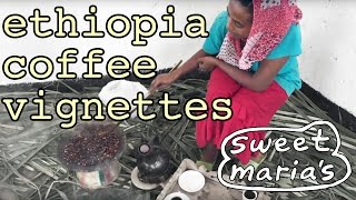 Ethiopian Cini Coffee Cups at Sweet Maria's - Sweet Maria's Coffee Library