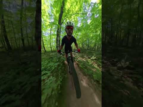 Dirt therapy. No music needed. #mtb #mountainbike #mtblife #colorado #cycling