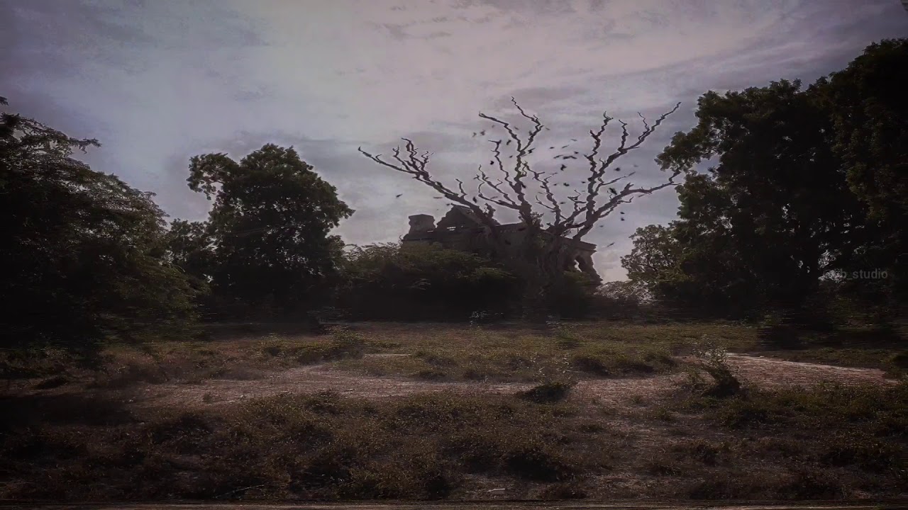 Creative motion picture 