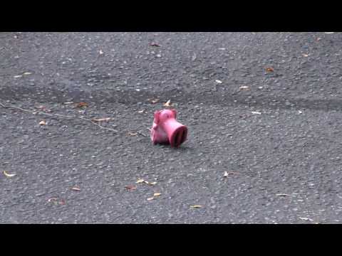 Exploding Pig
