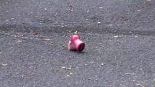 Exploding Pig