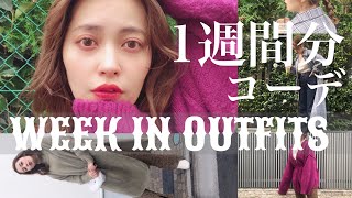 低身長の着回し、1週間コーデ！【155cm】