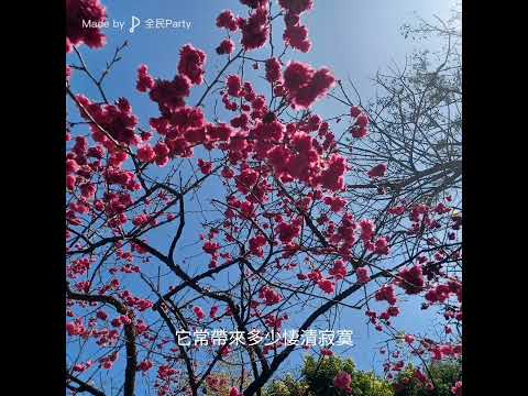 網住一季秋