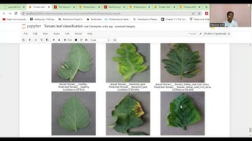 part 5e Tomato Leaf Image Disease Classification -Testing the model on new data and Visualization
