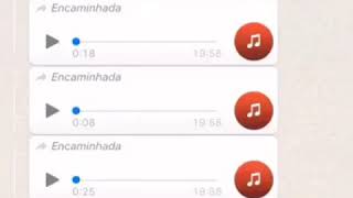 Áudio Vazado Do Whatsapp Tente Não Rir