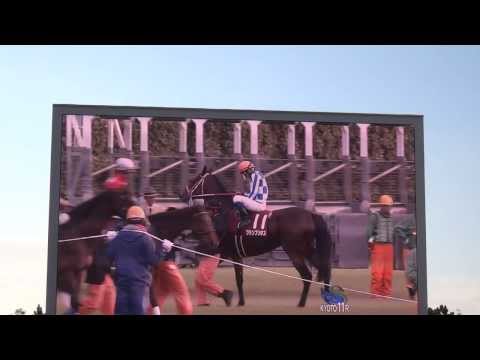 ２０１３年　スワンステークス　ファンファーレ　in　中京競馬場