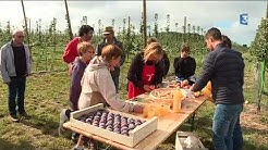 Les 'Vergers ouverts' eco-responsables de Lignières-de-Touraine