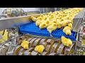 Inside a Chicken MEGA FACTORY: Methods and Processes of Raising Egg and Meat Chickens