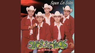 Video thumbnail of "Sierreños Sinaloa - Quisiera Amarte Menos"