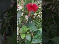 spend time with nature